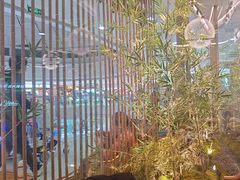 -绿茶餐厅(滨海万达广场店)