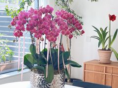 -F.Story 花和故事(新天地店)