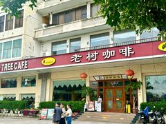 -OLD TREE老树咖啡·西餐厅(台山人工湖店)