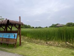 -梁鸿国家湿地公园