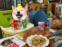 -耗儿鱼蛙蛙叫·老成都火锅(蛇口海昌街店)