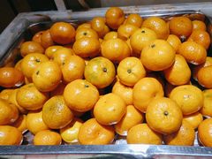 -清真军邺·金富苑肥牛(石坡街旗舰店)