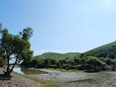 -额尔古纳黑山头绿野马帮骑马场