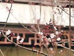 -盘门景区