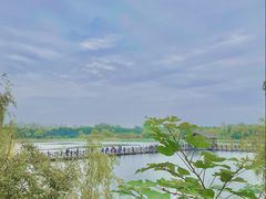 -溱湖国家湿地公园