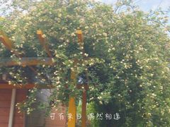 -南通洲际绿博园