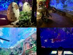 -长鹿旅游休博园