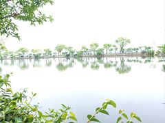 -无锡蠡湖国家湿地公园-蠡园