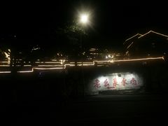 -老幺泉水鸡