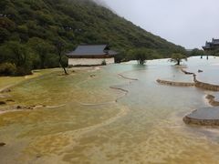-黄龙山原始森林景区