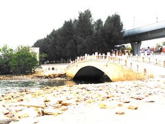 -宝安西湾红树林湿地公园