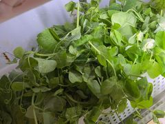 -金鼎雪山牦牛杂火锅(理县总店)