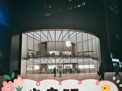 -Apple零售店(新街口店)