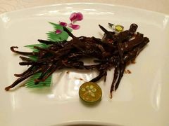 -新光酒家·河豚·海鲜·蟹料理(浦东店)