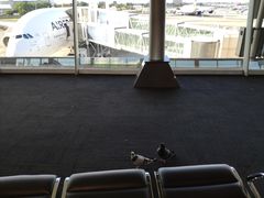 -奥利弗·雷金纳德·坦博国际机场