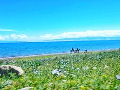 -青海湖国家重点风景名胜区