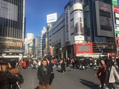 -涩谷区