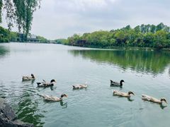 -上海怡沁园度假酒店