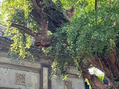 -无锡惠山寺