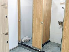 -拳盛时代拳击俱乐部(北京路店)
