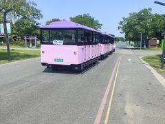 -江苏三台山国家森林公园