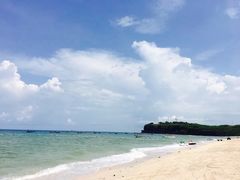 -北海金海湾红树林生态旅游区