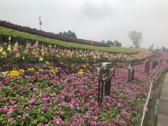-天府芙蓉园