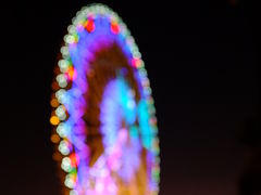 -凤岭儿童公园