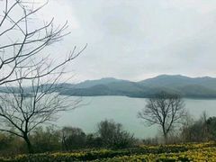-天目湖涵田半山温泉
