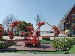 -荷兰花海