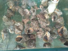 -四海鲜渔家菜(黄金海岸店)