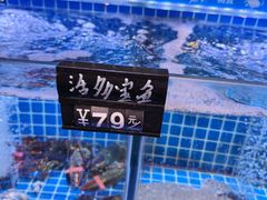 -1937青岛老味道·海肠捞饭·青岛菜(大鲍岛栈桥店)