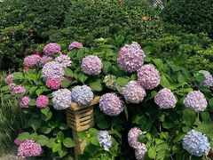 -常州古运河南大街文化旅游区-人民公园