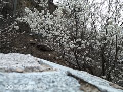 -崂山九水游览区