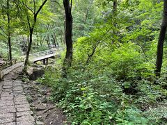 -香炉山国家森林公园