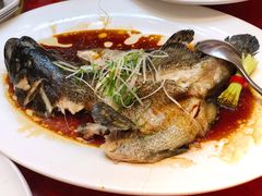 -紫阳海鲜楼·传承闽味(长乐路总店)