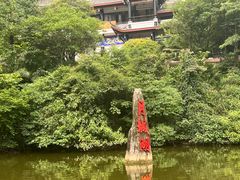 -青城山
