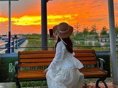 -合肥滨湖国家森林公园