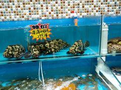 -港畔赶海蒸汽海鲜烧烤自助(仙螺岛店)