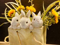 -后海16号·北京私房菜