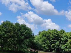 -上海海湾国家森林公园