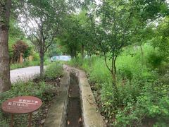 -连云港云龙涧原生态风景区