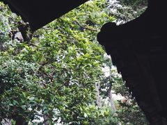 -京都御所