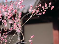 -南京雨花台风景区