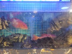 -友强·23年特色海鲜大排档(厦门店)