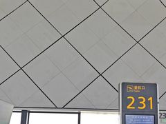 -郑州新郑国际机场-T2航站楼