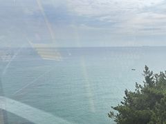-摩天岭风景区