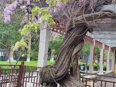 -郑和公园