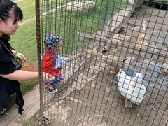 -前小桔亲子创意农场·草莓采摘·露营烧烤