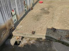 -武汉紫薇都市田园